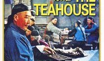 茶馆电影在线观看,穿越时空的茶香之旅